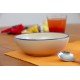 Bowl - Parot Bowl - Parot